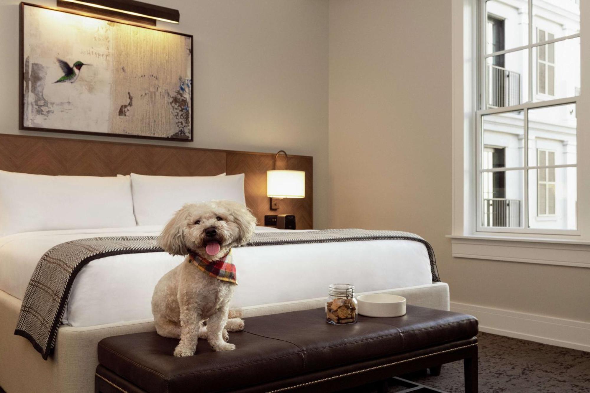 Hotel The Harpeth Franklin Downtown, Curio Collection By Hilton Extérieur photo